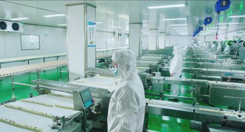 谷焙奇 以品质为基，守护食品安全的绿色承诺