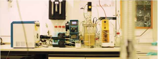 污水变蛋白 荷兰比利时科学家探索下水道到餐桌的创新氮循环技术