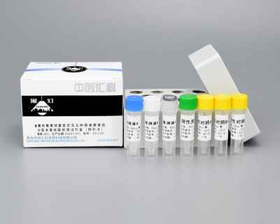 金*黄色葡萄球菌鉴定及五种肠毒素基因分型多重核酸检测试剂盒(探针法) 在微生物检测中的应用与价值